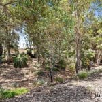 7 Imola Way, Brabham, WA 6055 AUS