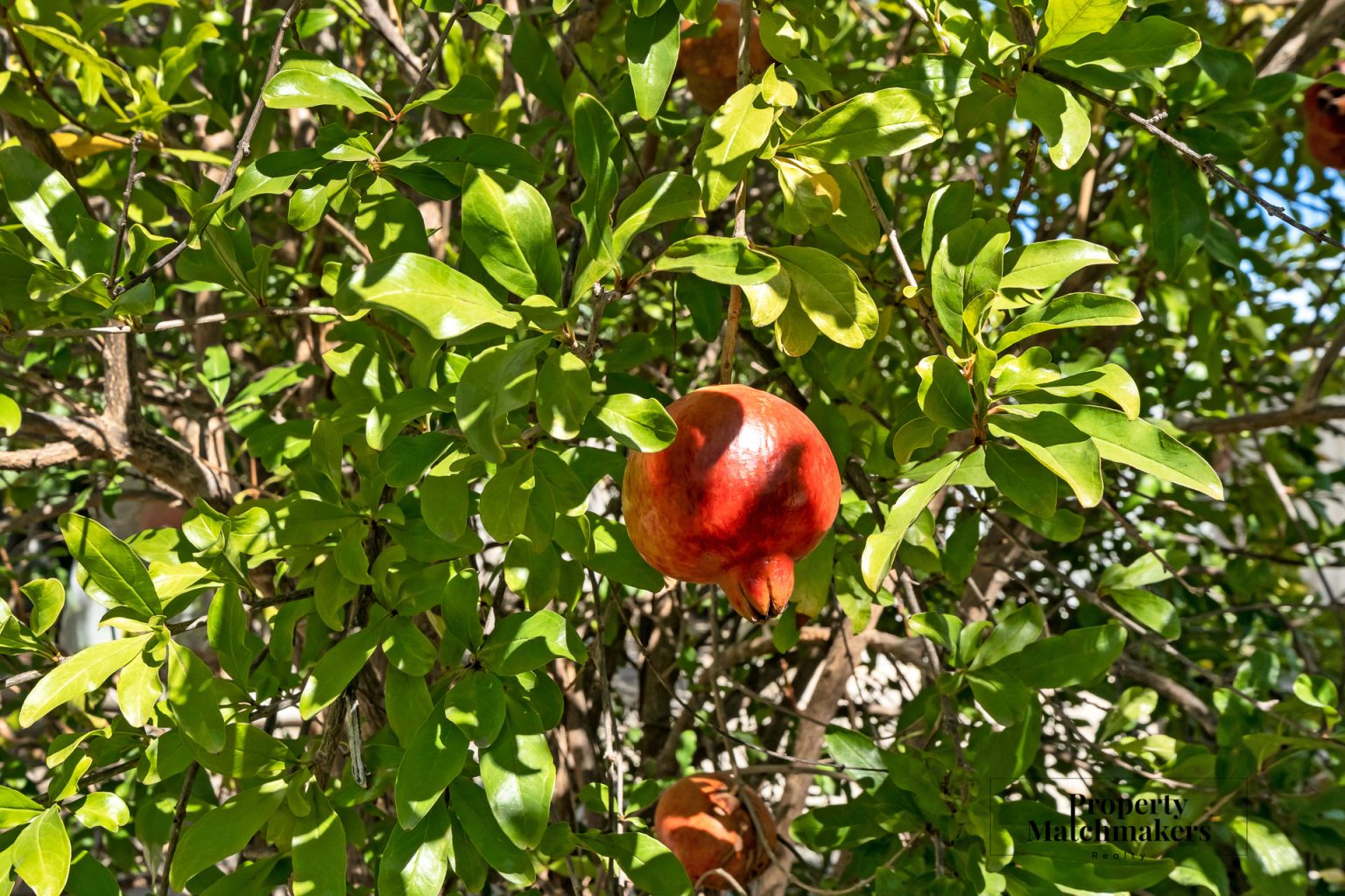 9 Rennison Street, Beckenham, WA 6107 AUS